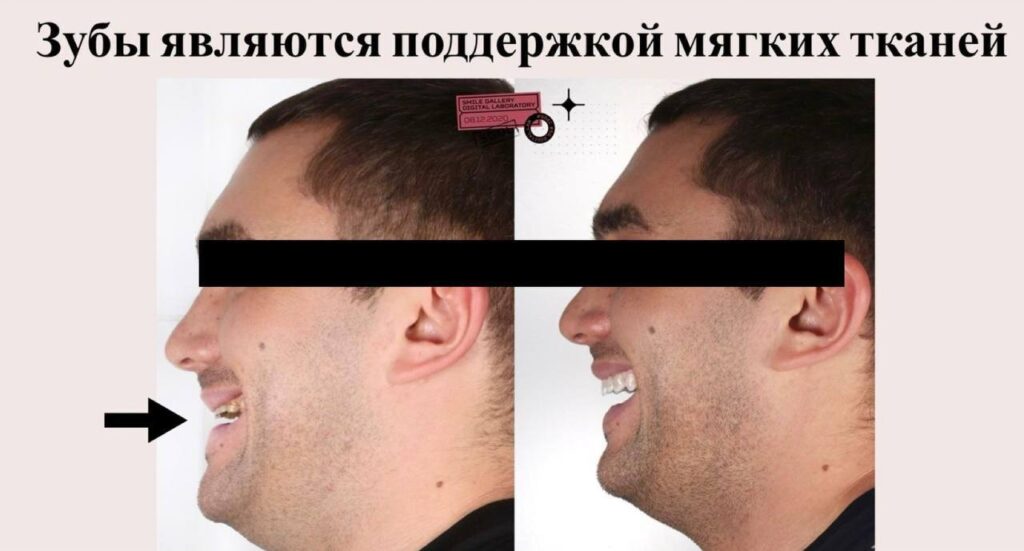 Естественное старение можно приостановить